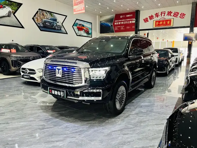 Tank 500 New Energy, 2023