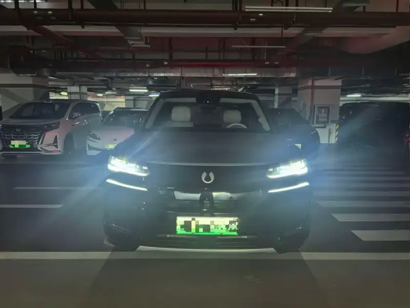 Denza N9, 2025