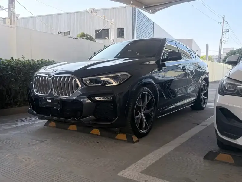 BMW X6, 2021
