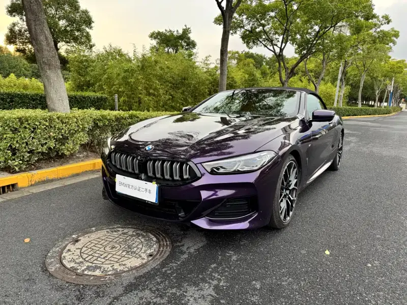 BMW 8 Series, 2024