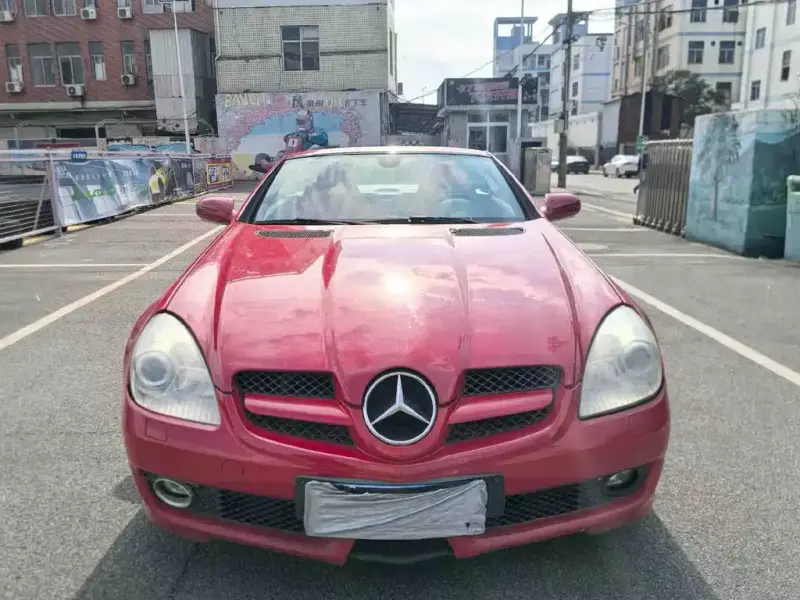 Mercedes-Benz SLK-Class, 2010