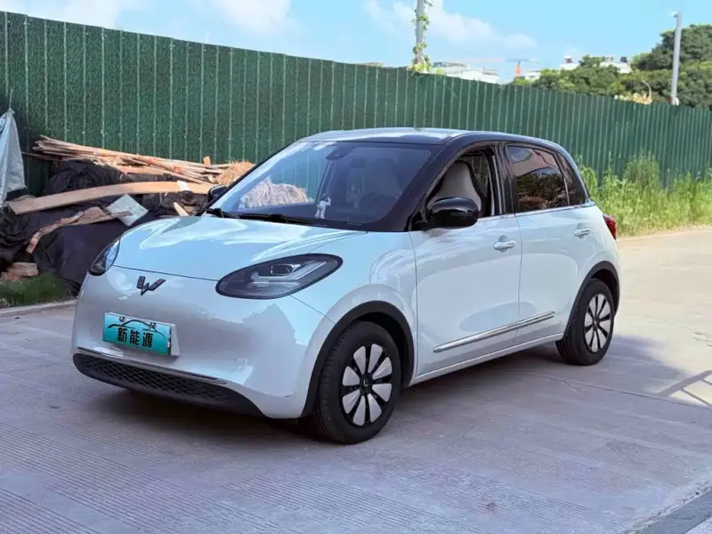 Wuling Bingo, 2023