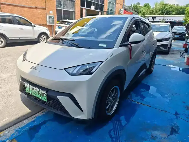BYD Seagull, 2024