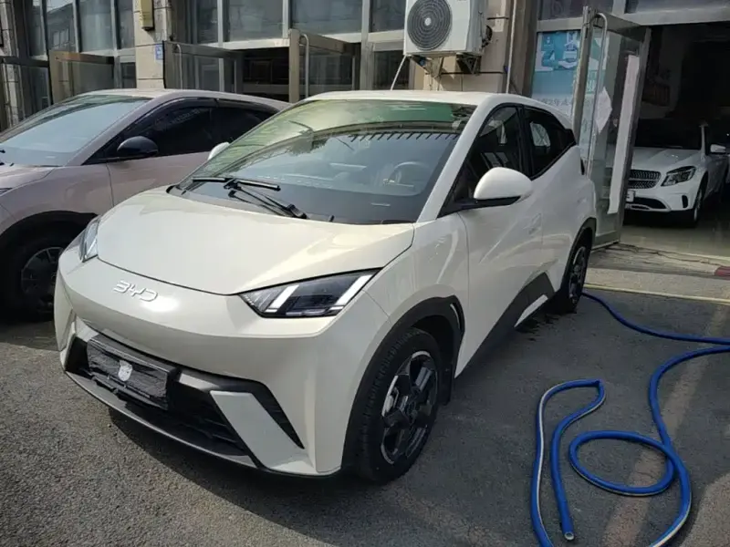 BYD Seagull, 2024