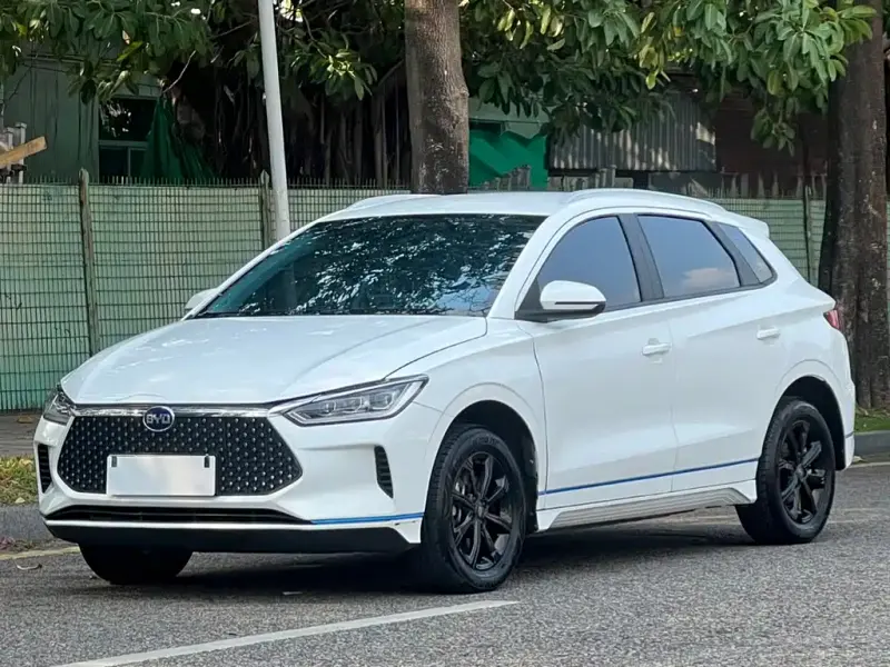 BYD e2, 2020