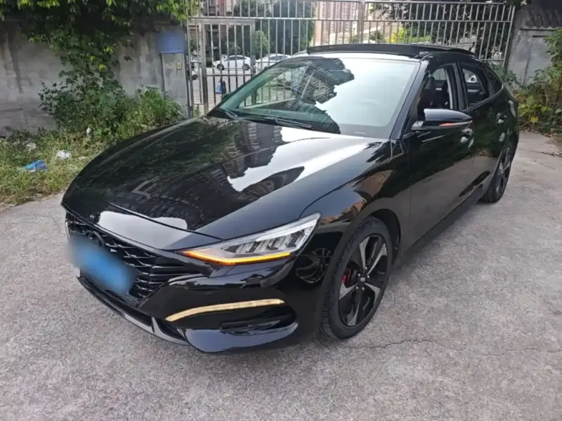 Hyundai Fista, 2019