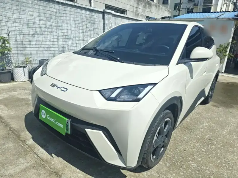 BYD Seagull, 2023