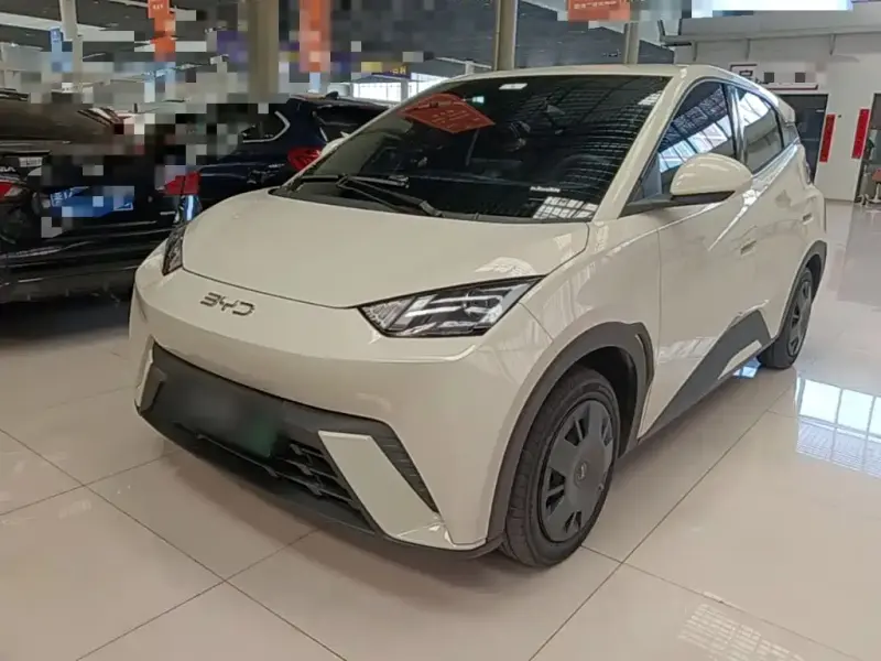 BYD Seagull, 2024