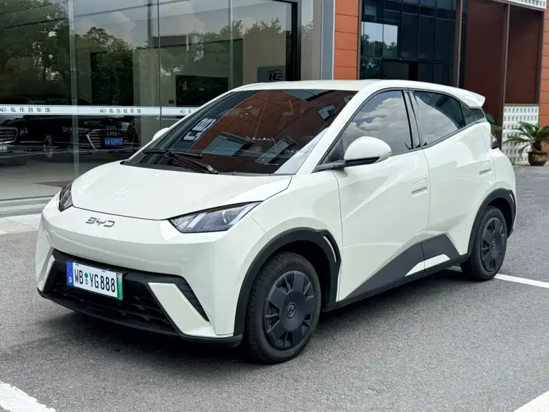 BYD Seagull, 2024