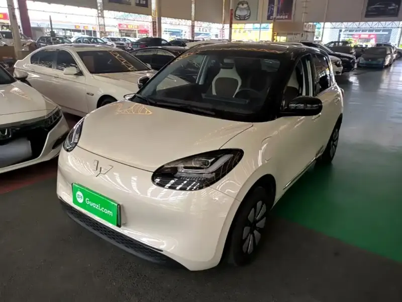 Wuling Bingo, 2024