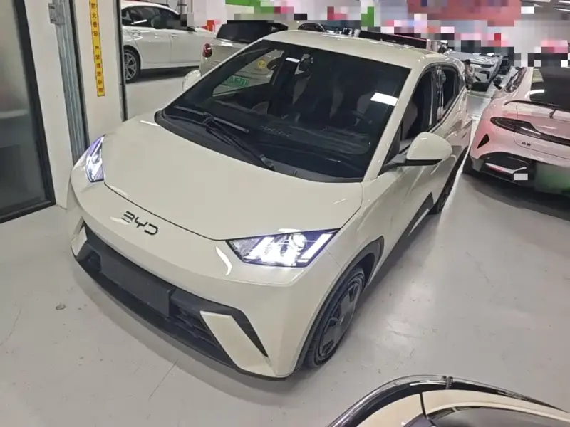 BYD Seagull, 2024