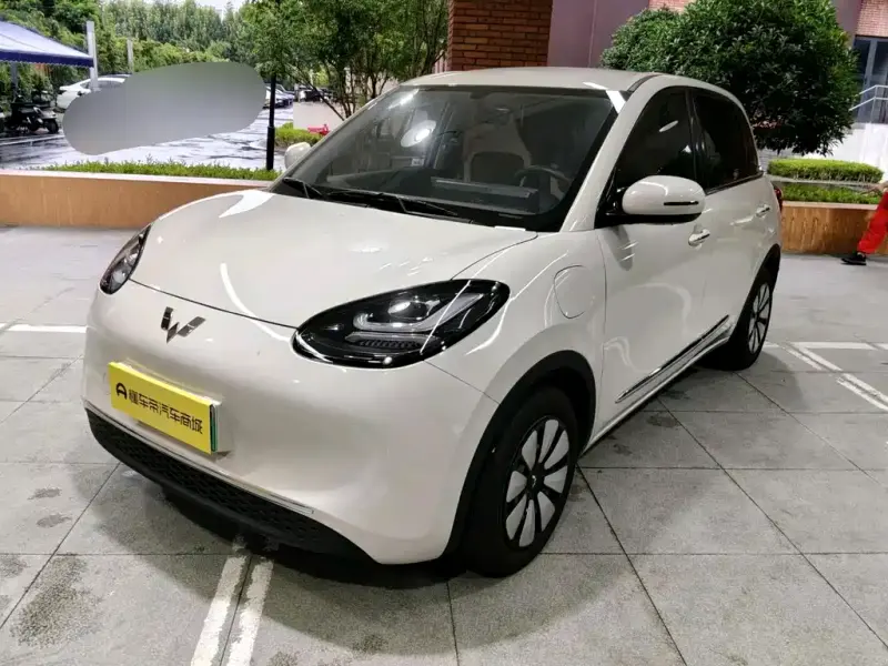 Wuling Bingo, 2024