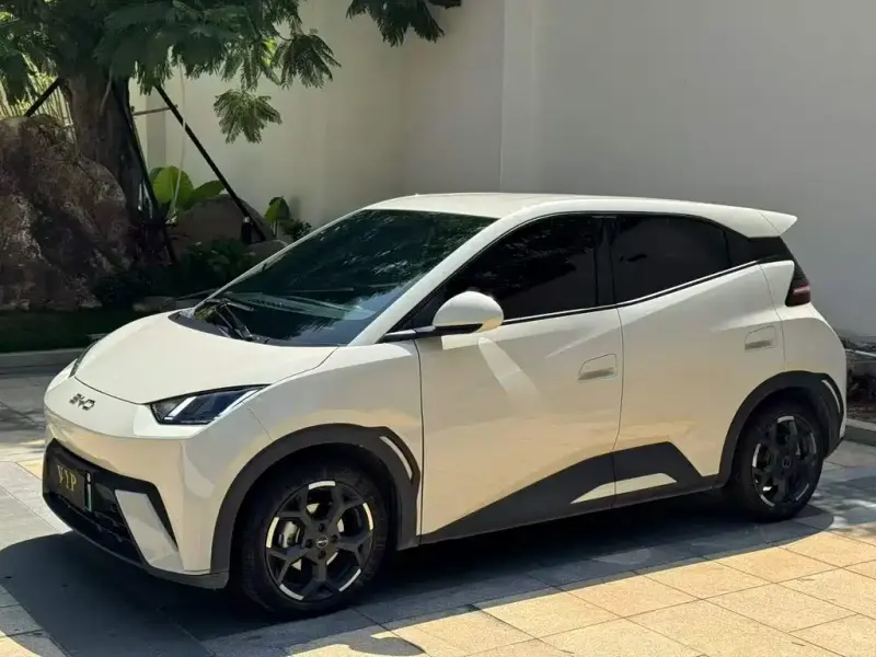 BYD Seagull, 2024
