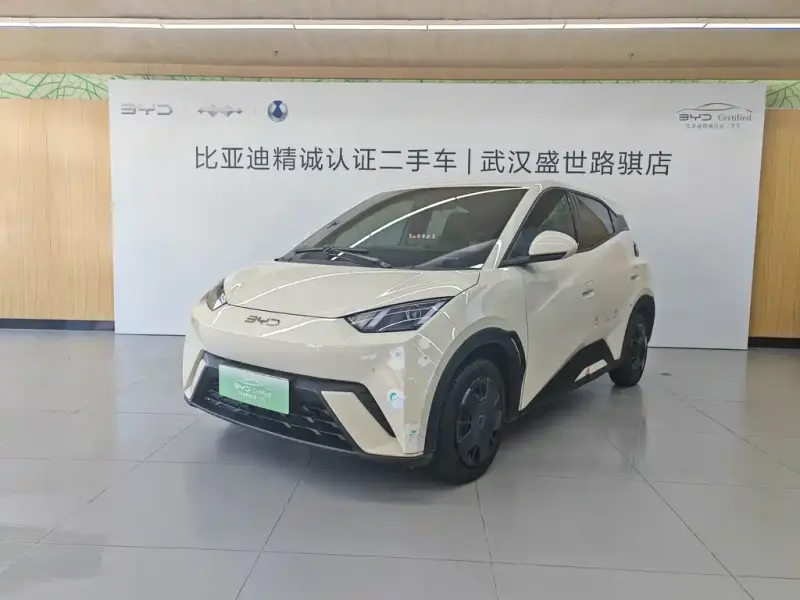 BYD Seagull, 2024