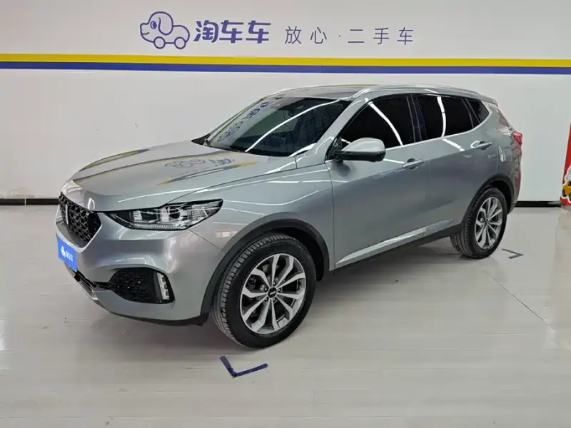 Wey VV6, 2019