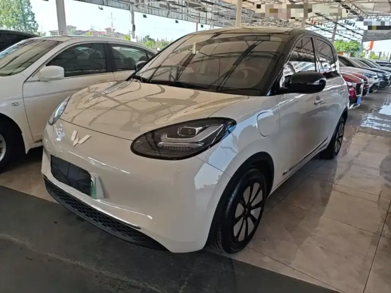 Wuling Bingo, 2025