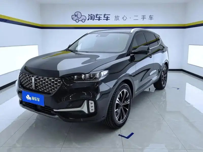Wey VV6, 2021