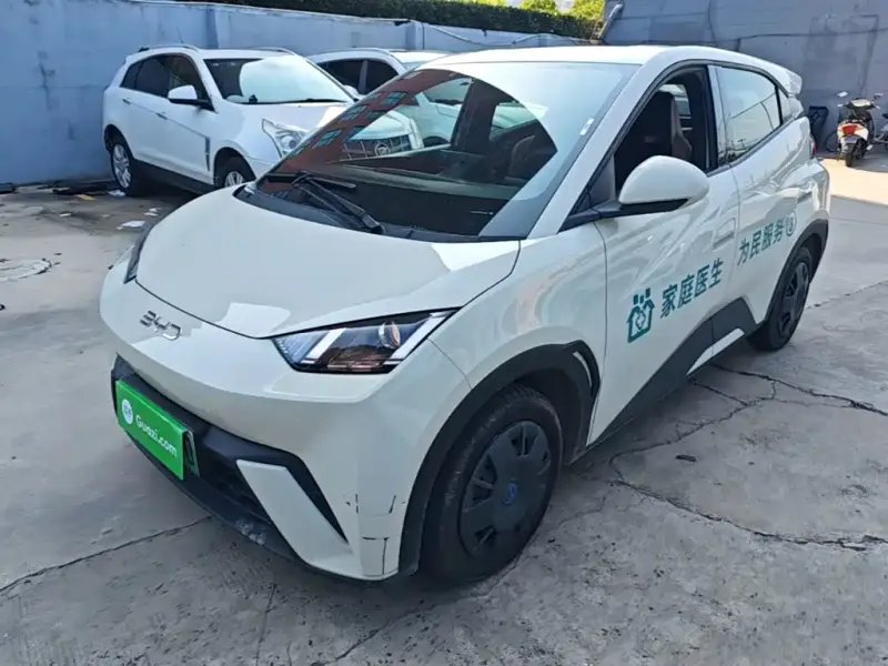 BYD Seagull, 2024