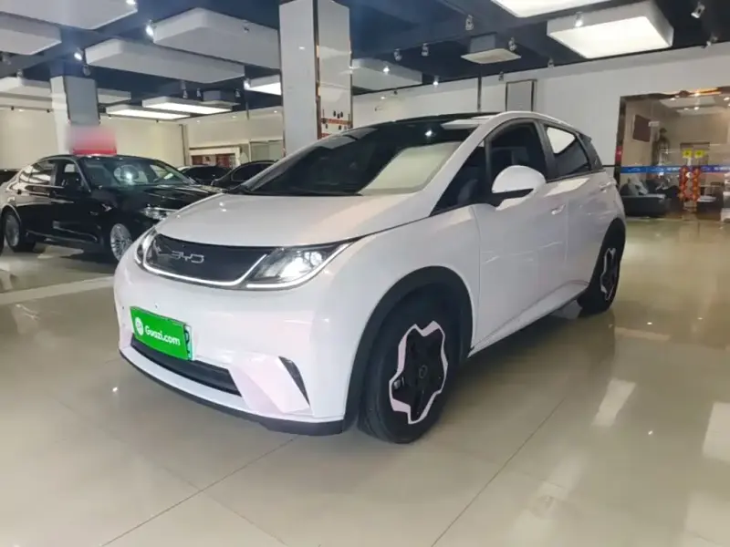 BYD Dolphin, 2022