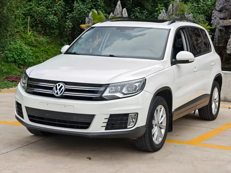 Volkswagen Tiguan, 2017 — фото 1