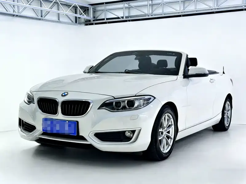 BMW 2 Series (Import), 2015