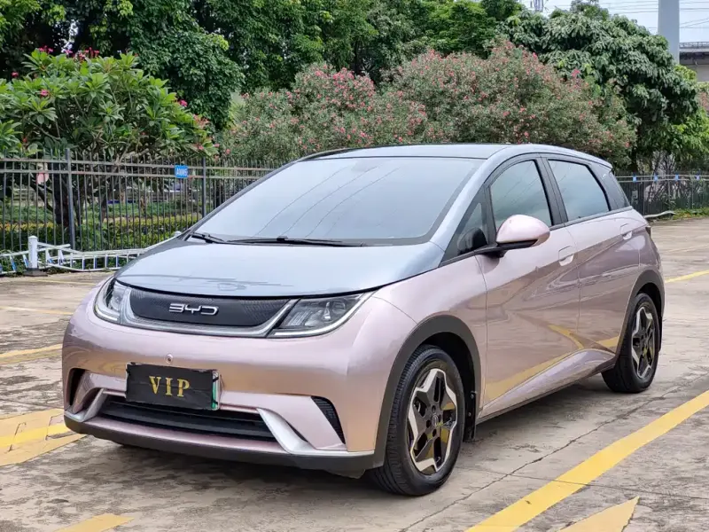 BYD Dolphin, 2022