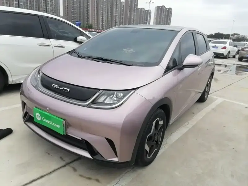 BYD Dolphin, 2022
