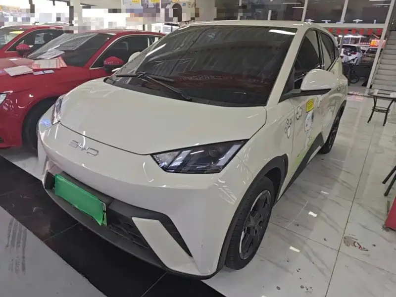BYD Seagull, 2024