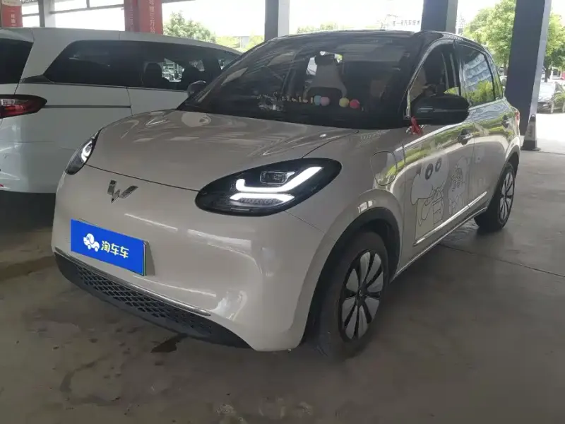 Wuling Bingo, 2024