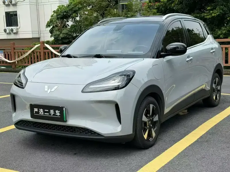 Wuling Bingo PLUS, 2024