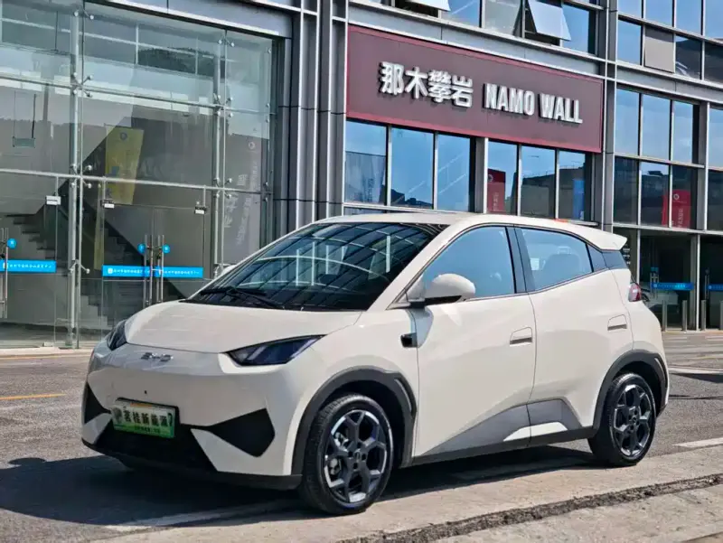 BYD Seagull, 2025