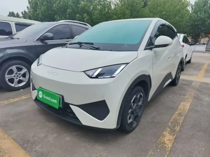 BYD Seagull, 2025