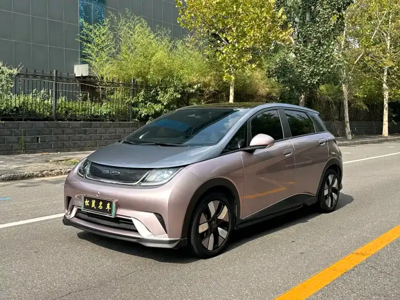 BYD Dolphin, 2023
