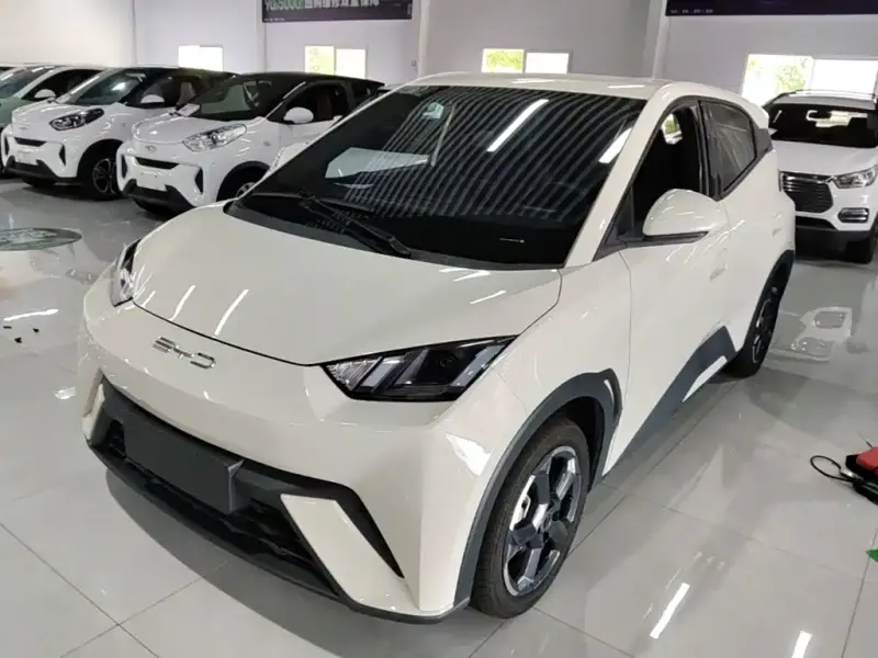 BYD Seagull, 2024