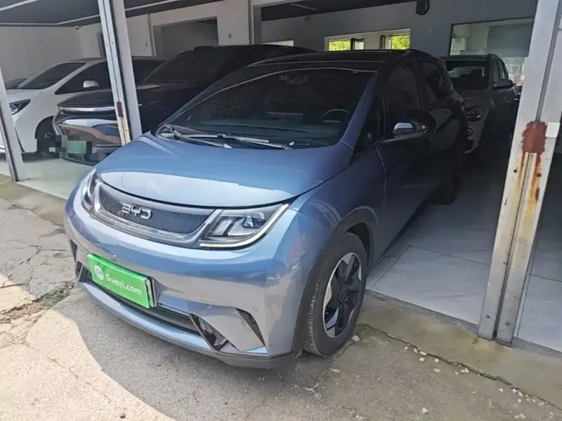 BYD Dolphin, 2024