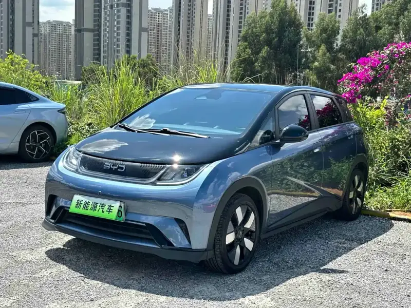 BYD Dolphin, 2024