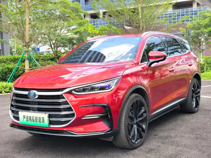 BYD Tang New Energy, 2021