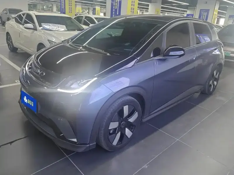 BYD Dolphin, 2024