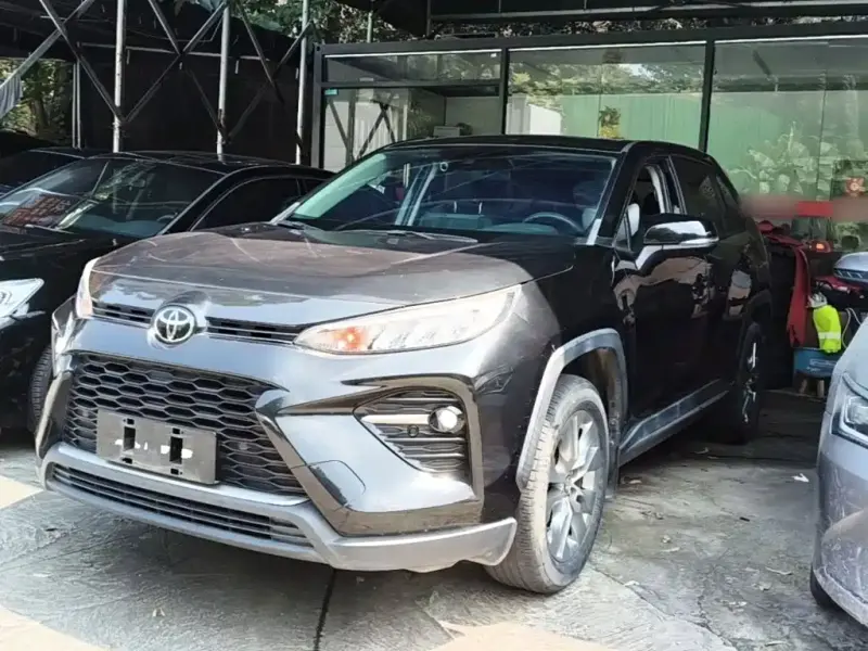 Toyota Wildlander, 2021