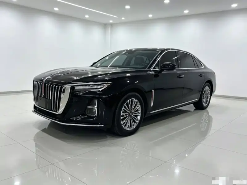 Hongqi H5, 2024