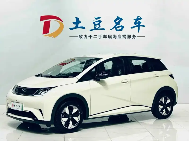 BYD Dolphin, 2026