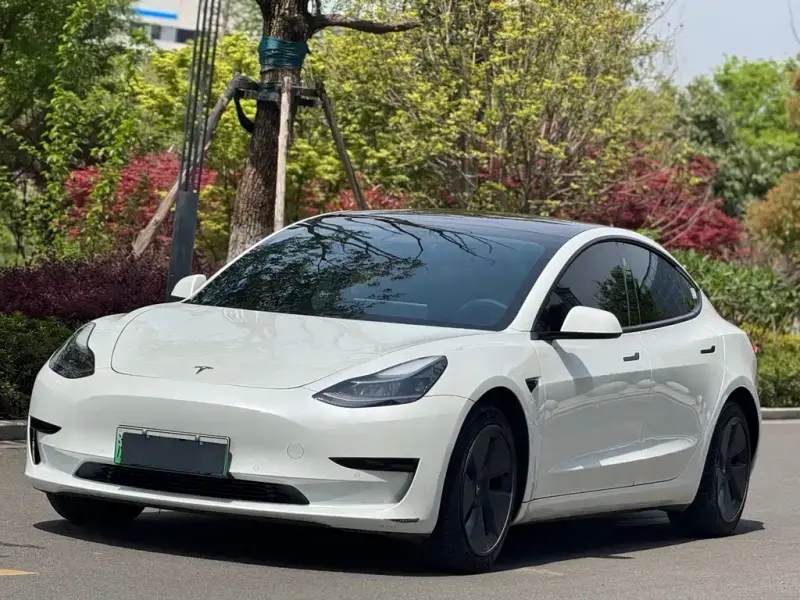 Tesla Model 3, 2021