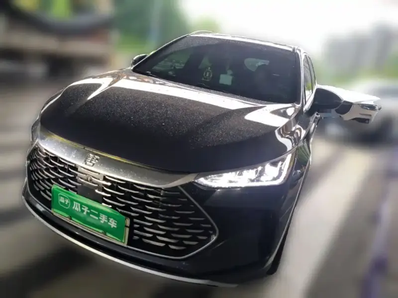 BYD Tang New Energy, 2024