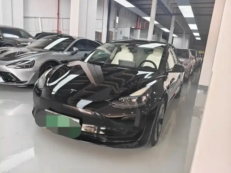 Tesla Model 3, 2022