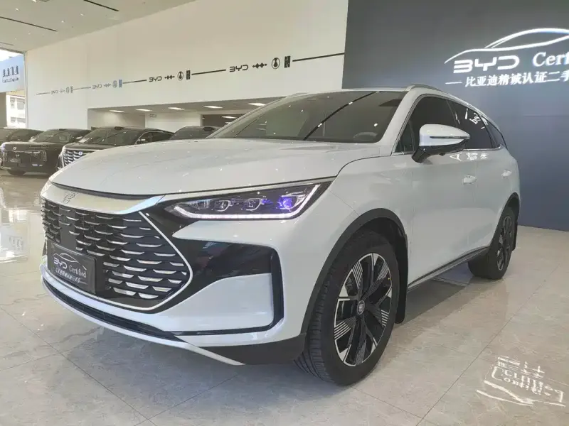 BYD Tang New Energy, 2024
