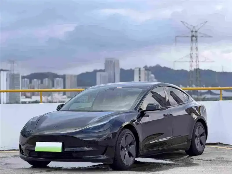 Tesla Model 3, 2021