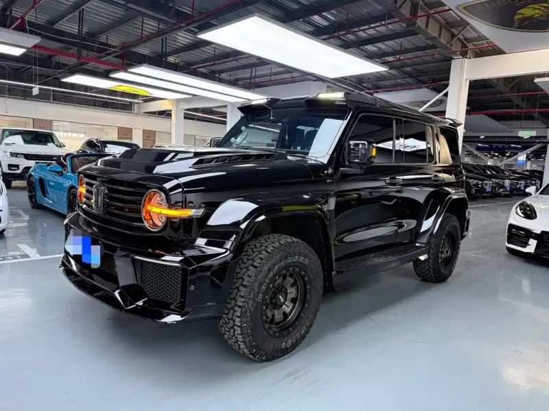 Tank 300, 2023