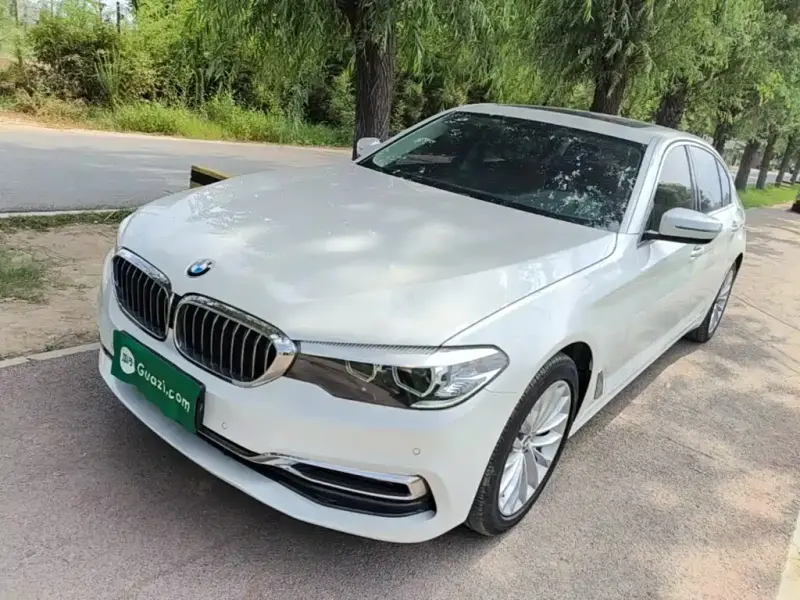 BMW 5 Series, 2019