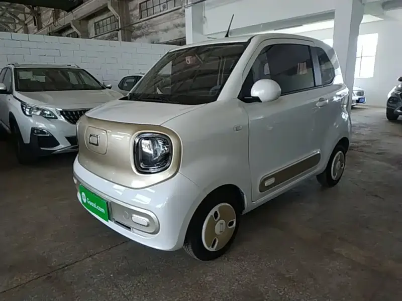 Bestune Pony, 2024