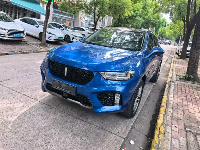 Wey VV5, 2017